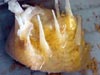 A chimney sponge may reveal new symbioses not previously witnessed.