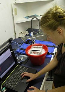 Alison prepares the spectrometer, an instrument that measures the wavelengths in light, to study the absorption and reflectance properties of the fishs fluorescent lens.