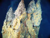 Active smoker chimneys precipitating iron, copper and zinc sulfides from 230ºC fluid.