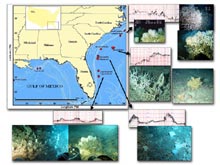 Map of the southeastern US study area, illustrating proposed path of the cruise and various deep coral sampling areas.