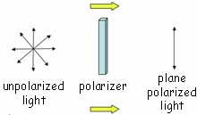 chart of polarized and unpolarized light chart of polarized and unpolarized light
