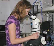 Research Technician Karen Konzen at the microscope specially designed to view fluorescence Research Technician Karen Konzen at the microscope specially designed to view fluorescence