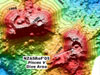 Map view of submarine Volcano-W.