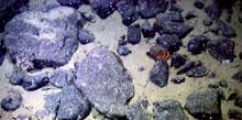 A video transect view across one of the valleys on the northeast end of Davidson Seamount.