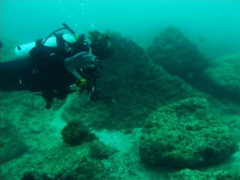 Amy Gusick waves to the camera as she surveys a submerged rock outcrop in the Sea of Cortez.