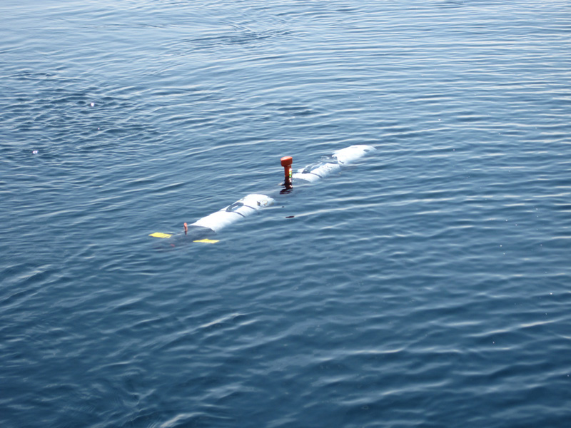 Michigan Technological University's autonomous underwater vehicle Iver 3 is launched from Research Vessel Storm, beginning a shipwreck survey as part of the Machine Learning for Automated Detection of Shipwreck Sites from Large Area Robotic Surveys expedition.