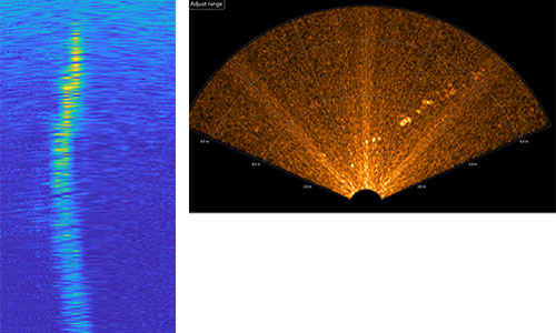 Split image with a spectrogram on the left and a sonar scan on the right.