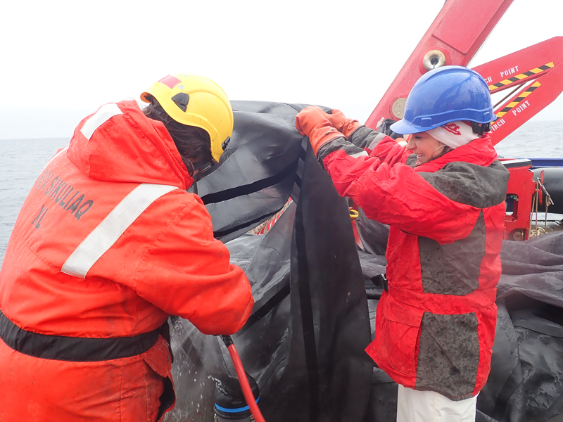 Ronnie Balice and Nina Pruzinsky (left to right) wash the Multiple Opening/Closing Net and Environmental Sensing System (MOCNESS) nets to prepare the samples collected for processing during the Exploring Pelagic Biodiversity of the Gulf of Alaska and the Impact of Its Seamounts expedition.
