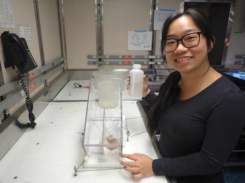 Emily Chen splits a zooplankton sample in half. Half was sorted in the lab on Research Vessel Sikuliaq during the Exploring Pelagic Biodiversity of the Gulf of Alaska and the Impact of Its Seamounts expedition and the other half was preserved in ethanol.