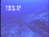 Trawl tracks