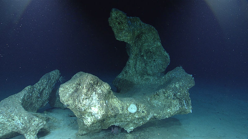 Limestone boulders that may have been exposed on the surface and eroded/weathered at one point, as seen during Dive 07 of the third Voyage to the Ridge expedition.