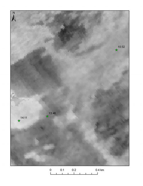 ROV image used to ground truth the backscatter observations.