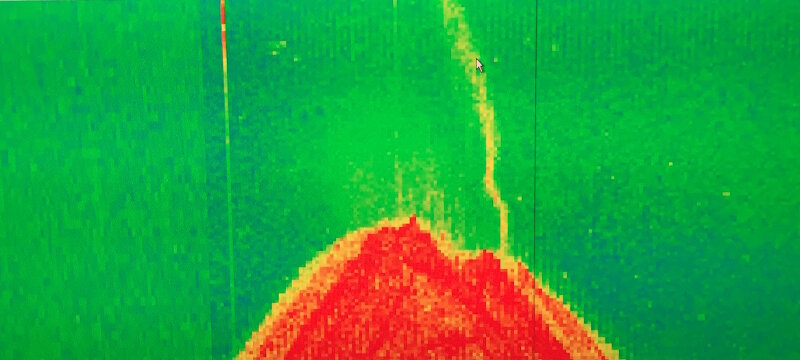 During mapping operations, our multibeam system also collects water column backscatter or data about what is in the water column.