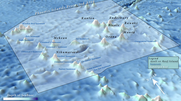 Background Information