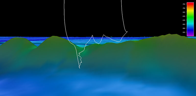 The dive track for Windows to the Deep 2021 Dive 01: Reef Tracts. Scale is water depth in meters.