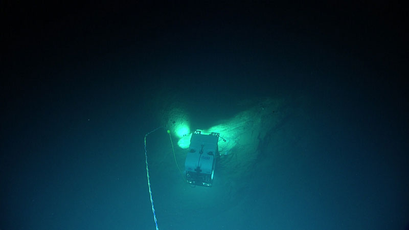 Remotely operated vehicle Deep Discoverer images a steep slope during Dive 06 of the 2023 Shakedown + EXPRESS West Coast Exploration expedition. Over the course of the dive, geological features observed included foliated mudstone scarps, heavily eroded mudstone fragments, and many areas with mudstone rock fall. Some areas on the rock interface contained vertical fractures, likely due to the strong tilt of the steep slope.