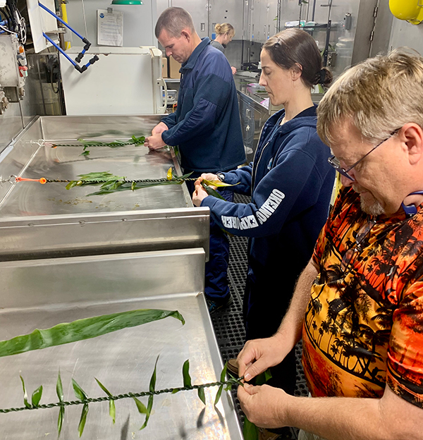 Commanding Officer for NOAA Ship <i>Okeanos Explorer</i>, Captain Colin Little, and crew hiloʻ their lei lāʻī during the Beyond the Blue: Papahānaumokuākea Mapping 1 expedition.