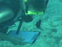 Girl Scouts taking depth measurements. Girl Scouts taking depth measurements.